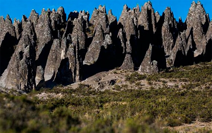 Galería del restaurante
